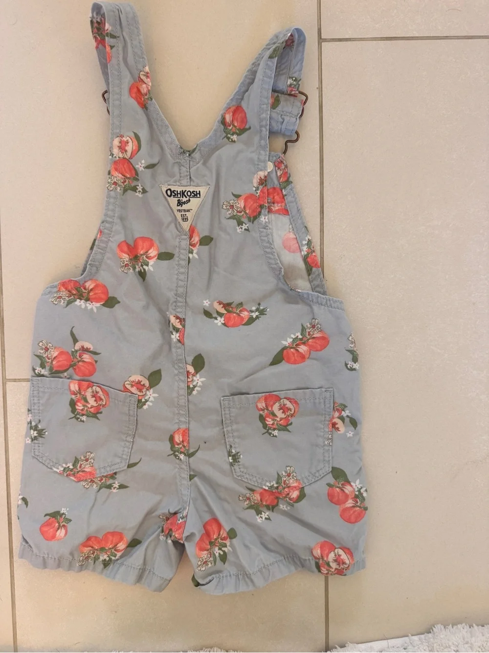 OshKosh B'gosh Light Blue Peach Print Shortall